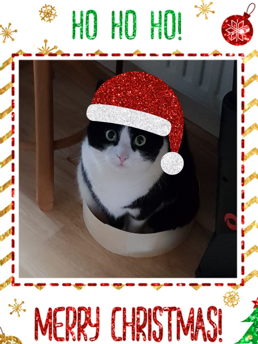 Wishing everyone a fabulous day ❤🎄❤