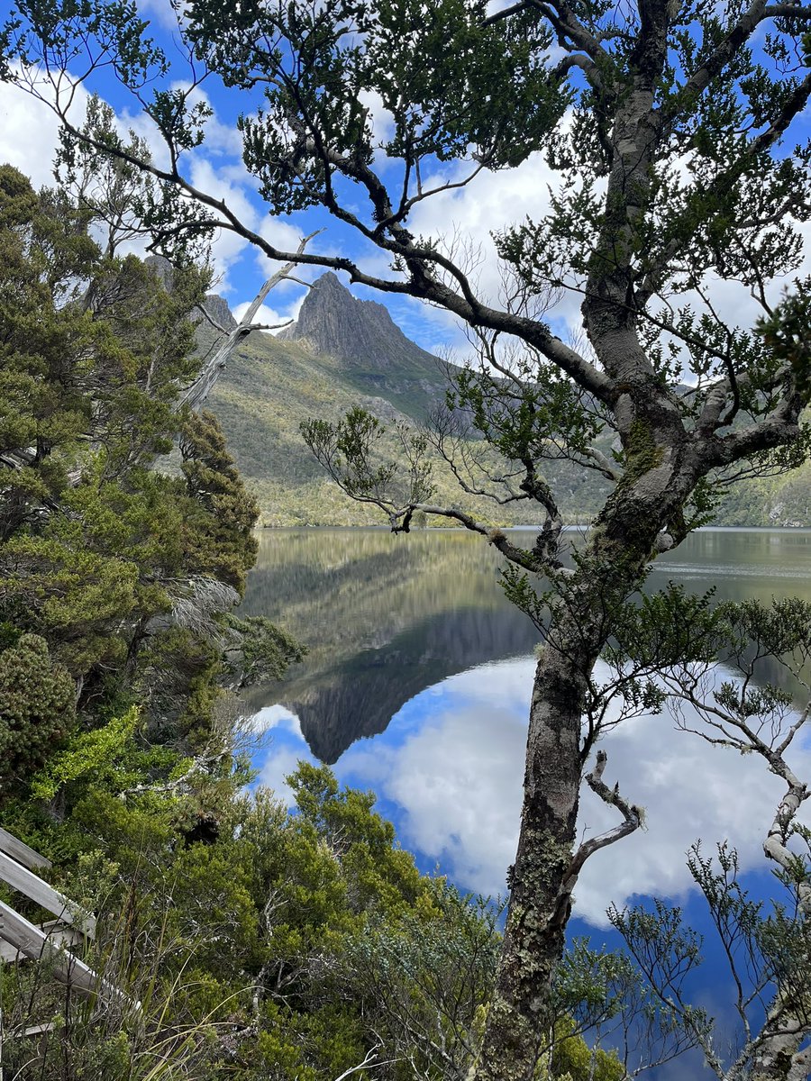 Christmas from a different vantage point this year #Cradlemountain #DoveLake #Christmas