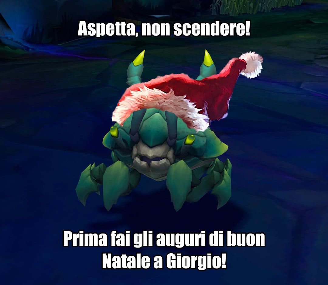 Buon Natale! 🎄 🎁