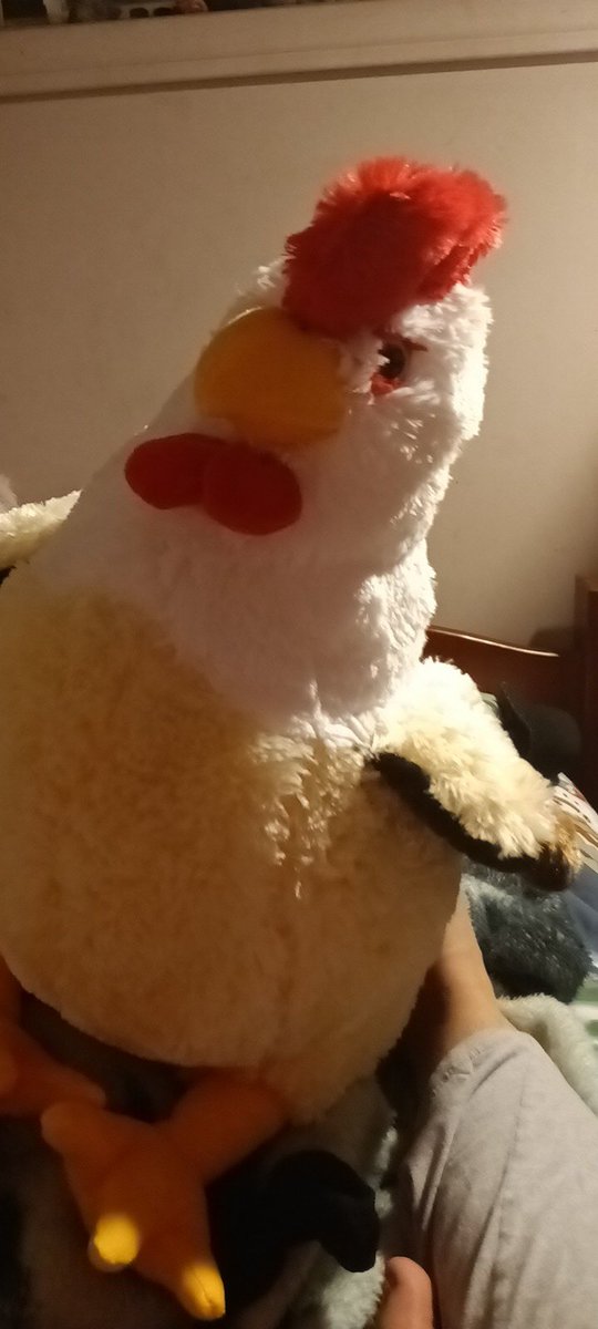 ResendezCastro's tweet image. Look what my dad gave mee for Christmas🐓🐔 #Christmas #chickenplush #artmoots