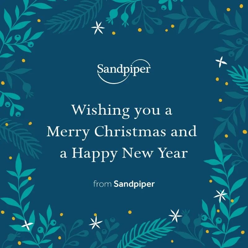 Sandpiper North Head tweet media