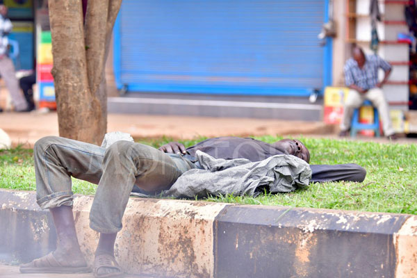 Daily Monitor tweet media