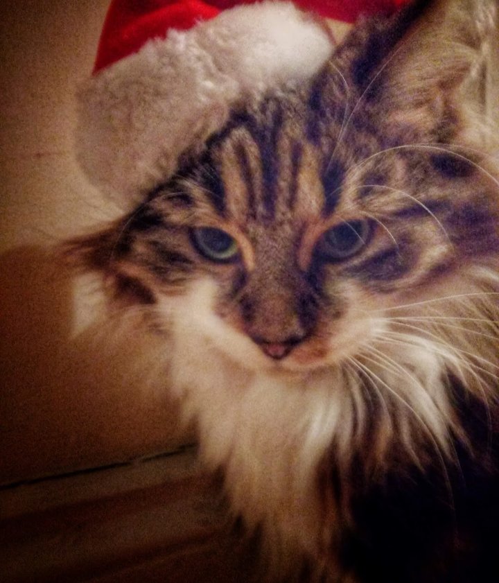 Michael⛅ tweet media