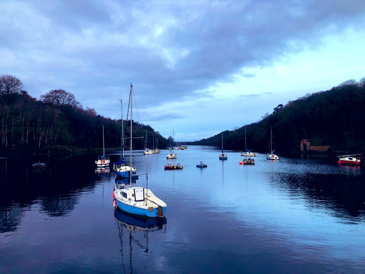 Merry Christmas from Rudyard 🥾⛵️🎄