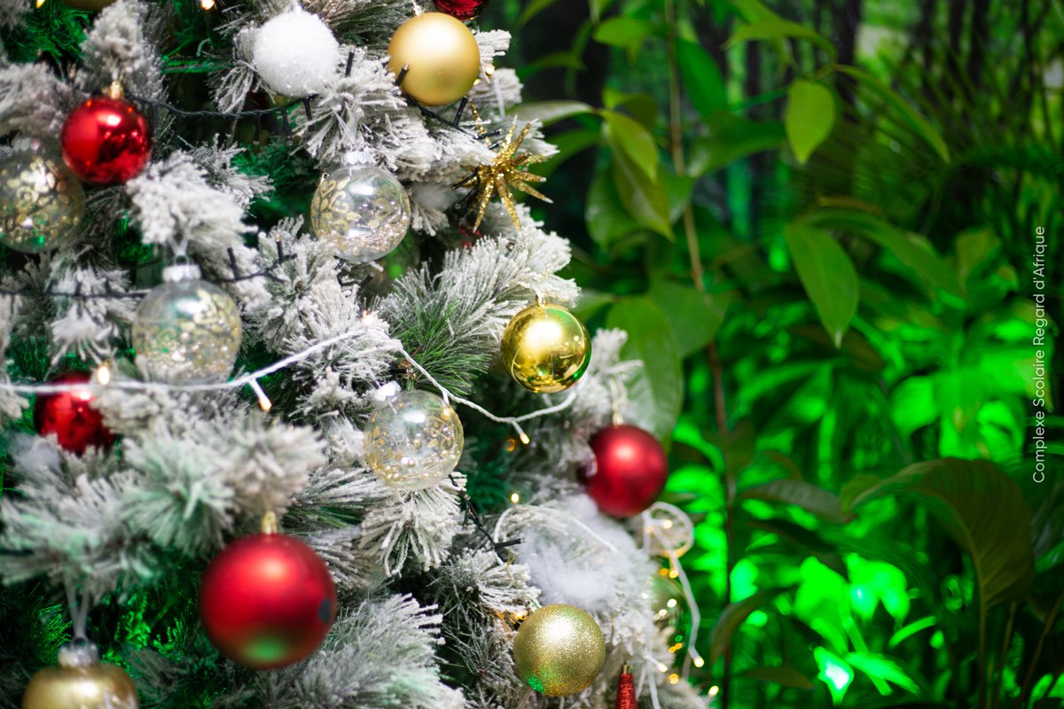 cervopi's tweet photo. @FiveEnviroCom C'est sur une thématique environnementale que le Complexe Scolaire regard d'Afrique a célébré la fête de Noel.
Les bassins tropicaux forestiers et autres thématiques environnementales ont été le sujet principal abordé devant les parents d'élèves. Belle initiative ! https://t.co/uFvy5pUMSv