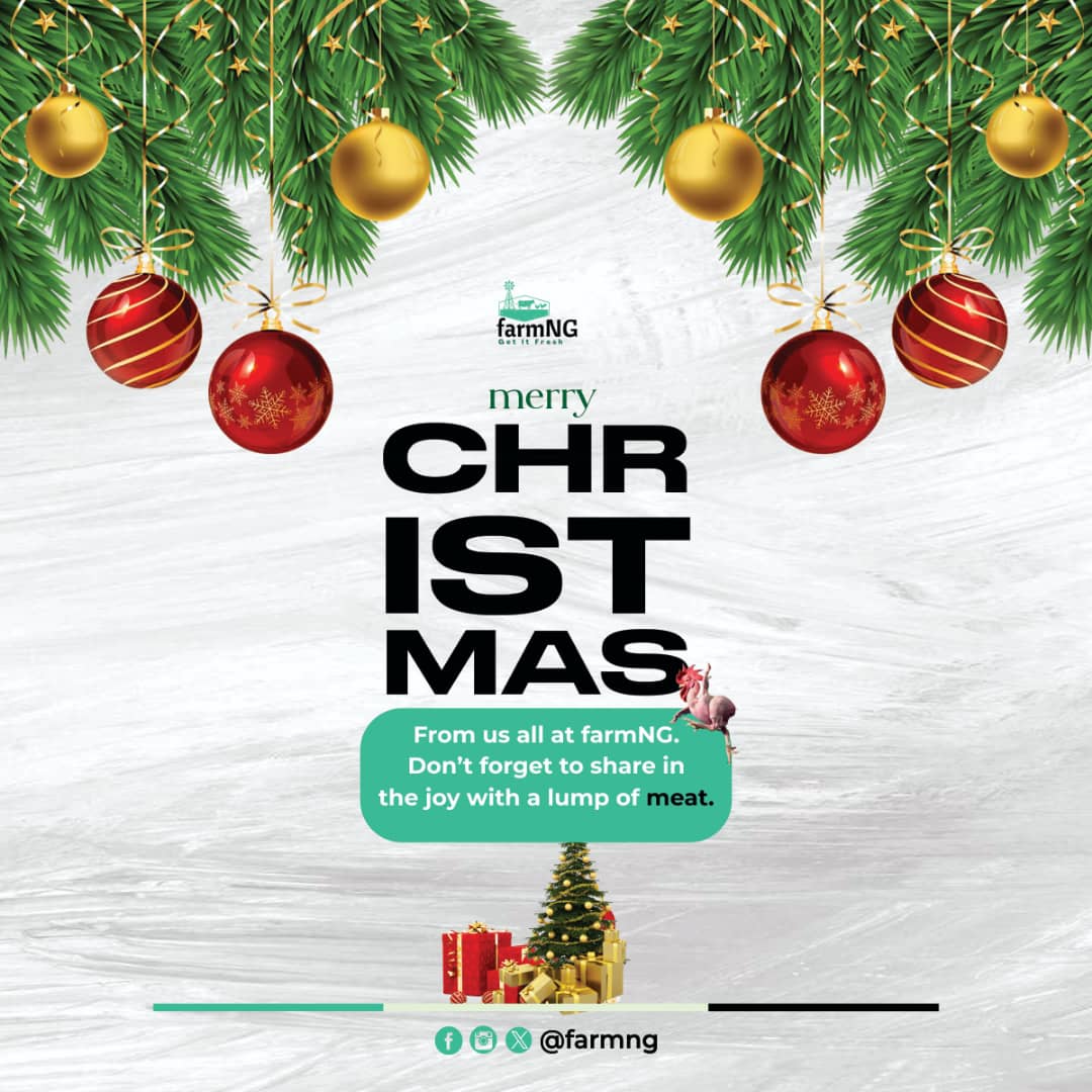 FarmNG_'s tweet photo. Wishing you a holly, jolly Christmas filled with love, laughter, and lots of MEAT 🎅🥂 

#CheersToChristmas #merrychristmas🎄 #merrychristmas #christmas https://t.co/Nsqz4ujRCI