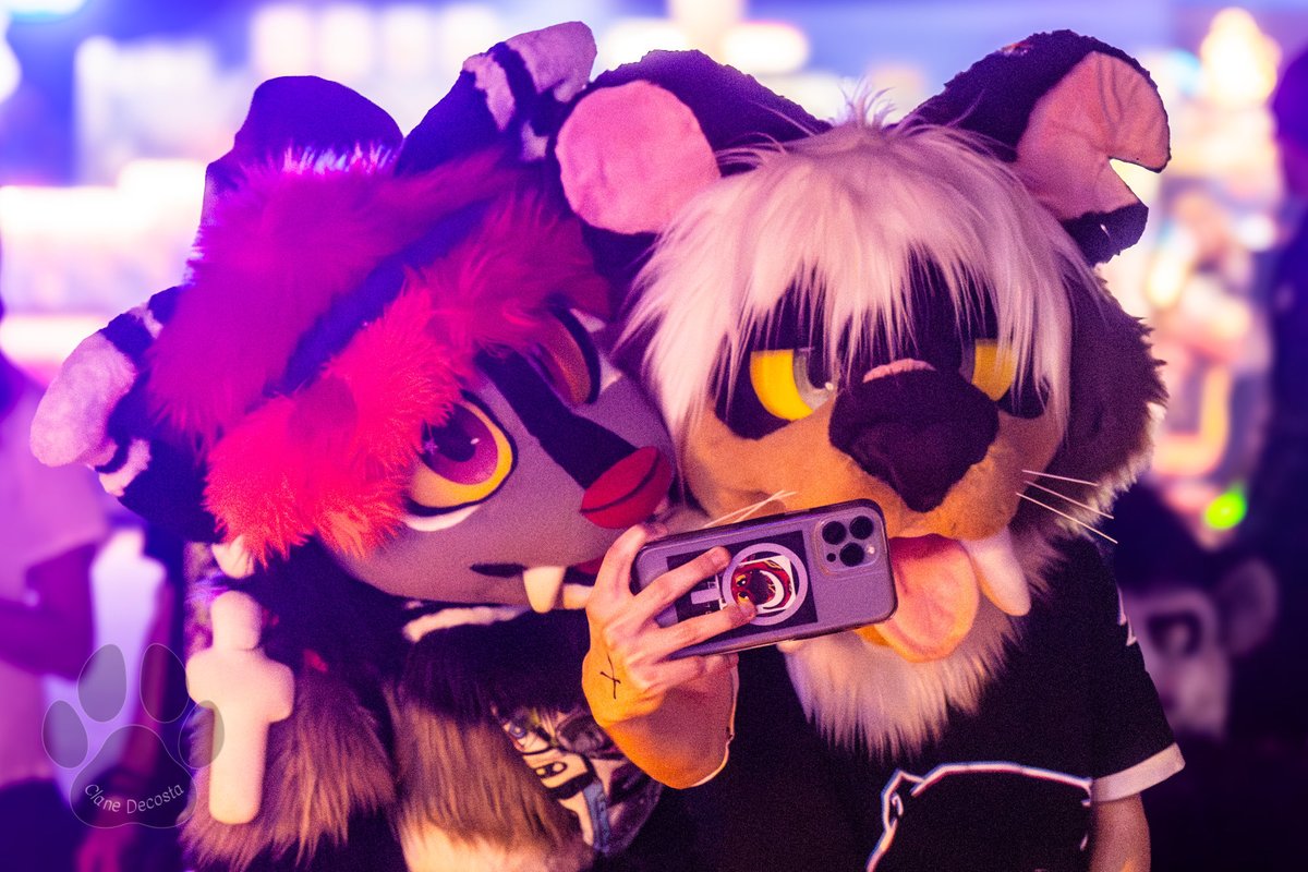 clanedecosta's tweet photo. Check out this excessive amount of fursuits im posting! #Maw #Fursuit #Furry https://t.co/PAYQuIEdJc