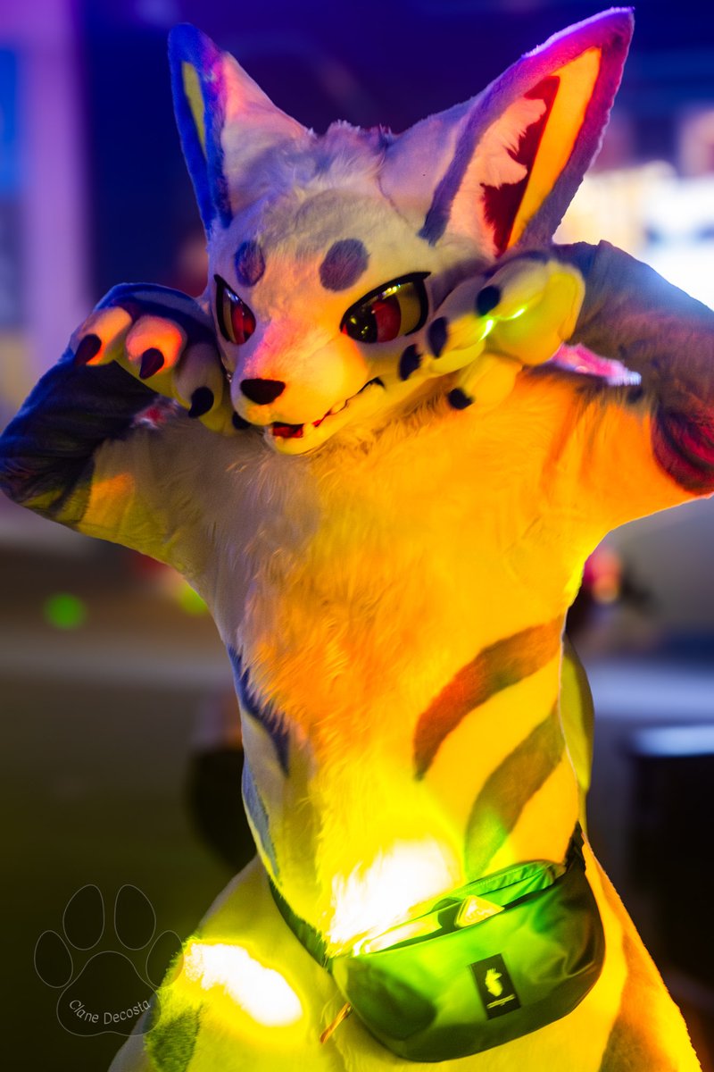 clanedecosta's tweet photo. Probably maybe some of the last furries from #MAW that im posting for a while #Fursuit #furry https://t.co/1l4ADFh3op