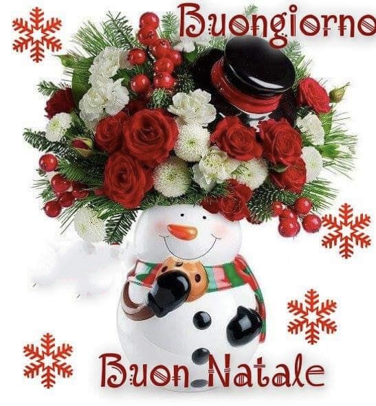 #Buongiorno #BuongiornoATutti #lunedi #25dicembre #Natale #Natal2023 

#BuonNatale 

👻💭🎄