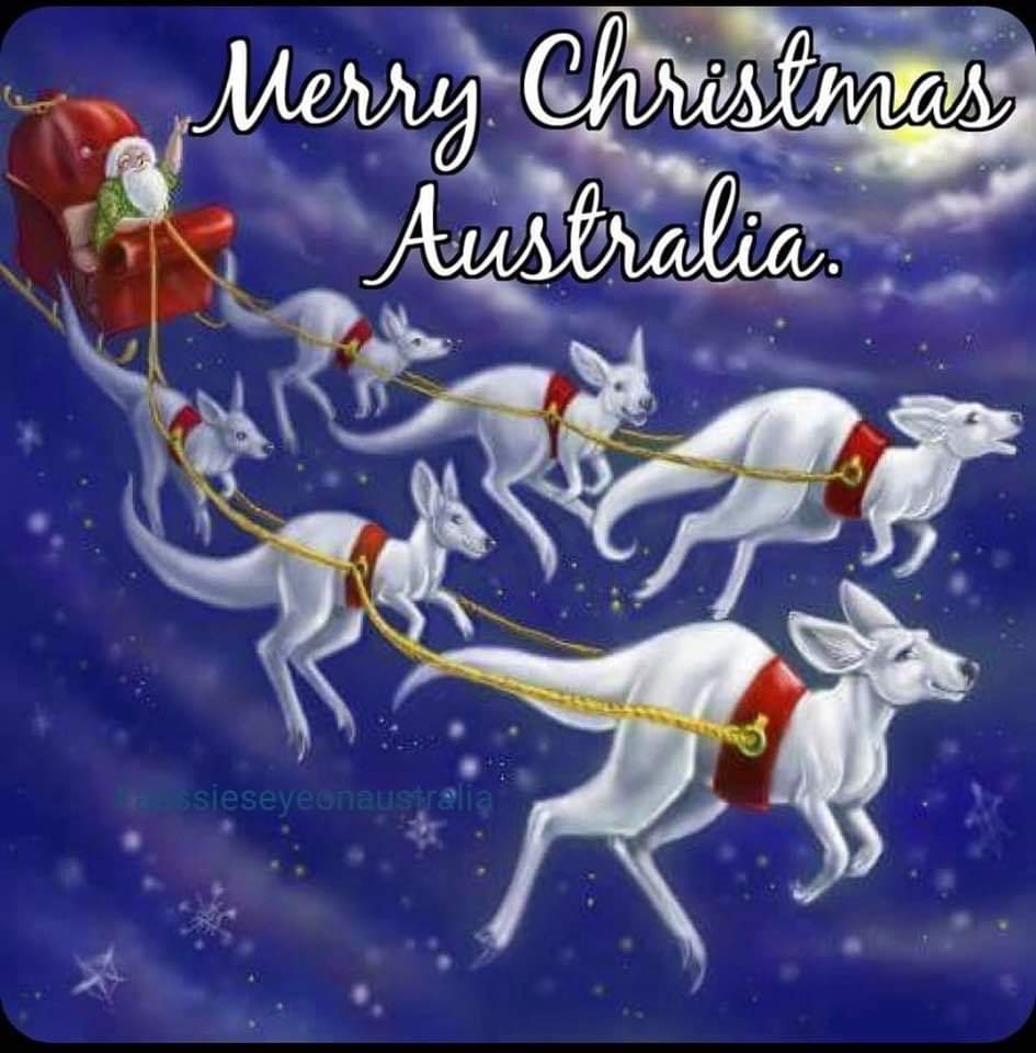 aussieashR6's tweet image. I would like to wish everyone a Merry Christmas! Hope you have a safe and happy holidays!