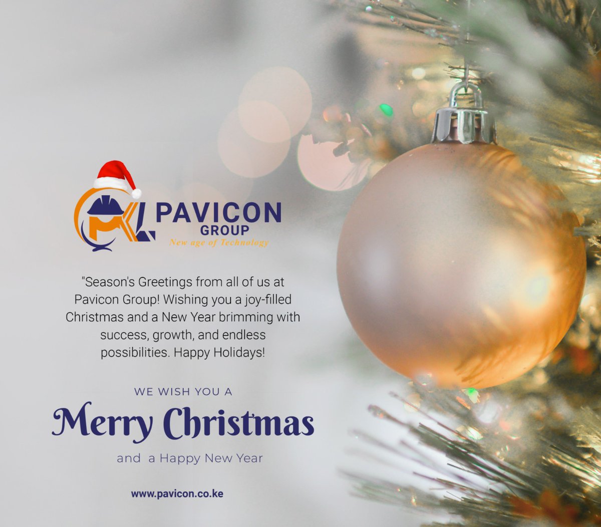 Pavicon Group tweet media