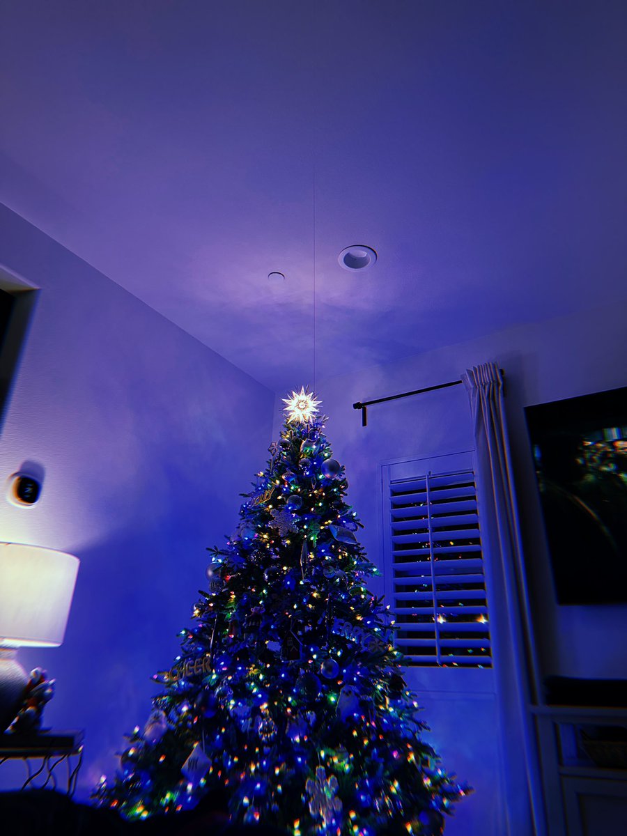 brianafrapart's tweet photo. Merry Merry Christmas 🎄💜 https://t.co/joqbSnviYw
