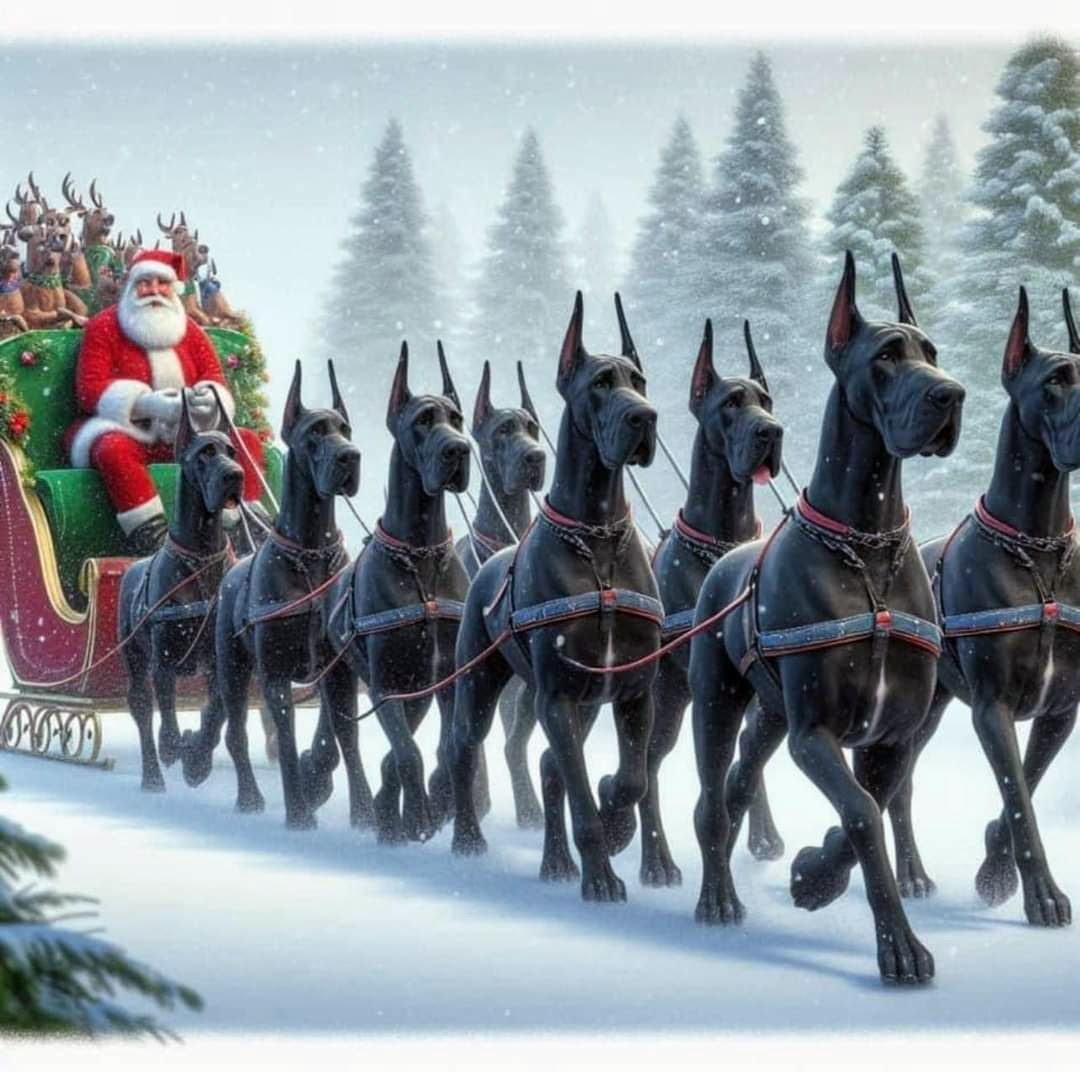 MariejoFetsch's tweet photo. JOYEUX NOEL https://t.co/SkuVnOkdO9