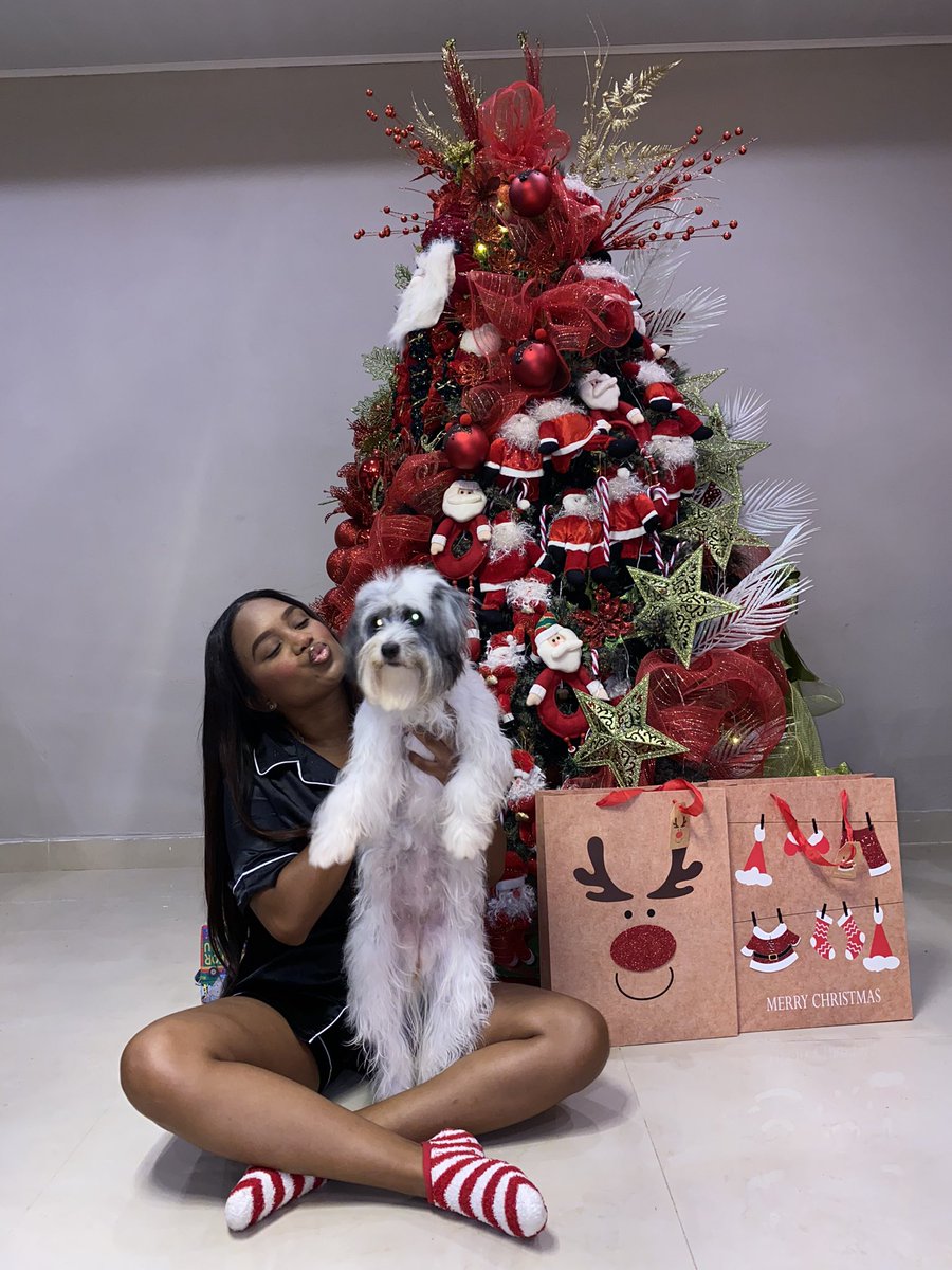 AracelysL13's tweet photo. Xmas ♥️🎄 https://t.co/284Y0xZWoX