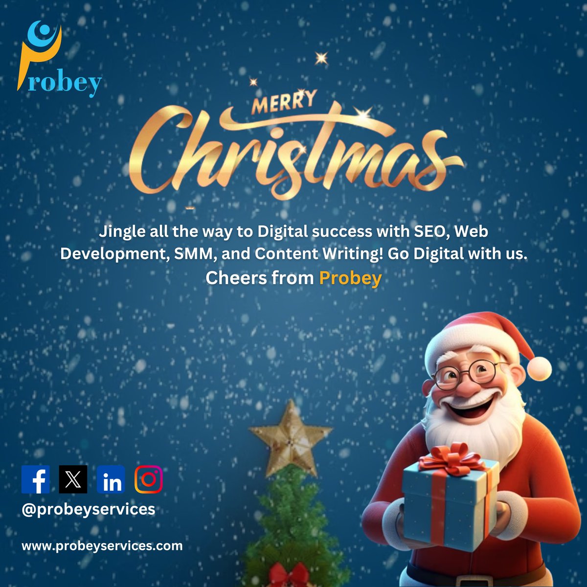 Probey Services Private Limited tweet media