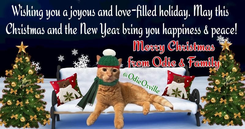 OdieOrville's tweet photo. Merry Christmas to all my friends and their families. I am so happy we're friends, and I love you all! 💖🎅🎄⛄ https://t.co/GOrzwTtOth
