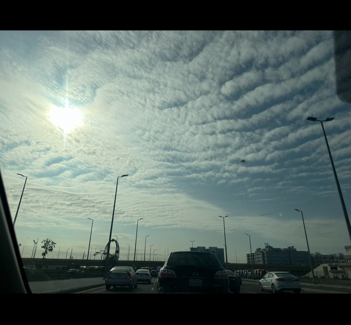 optimist_mo's tweet photo. Sun is shining 🎶 the weather is sweet 🎶 https://t.co/2HMymqIe7T
