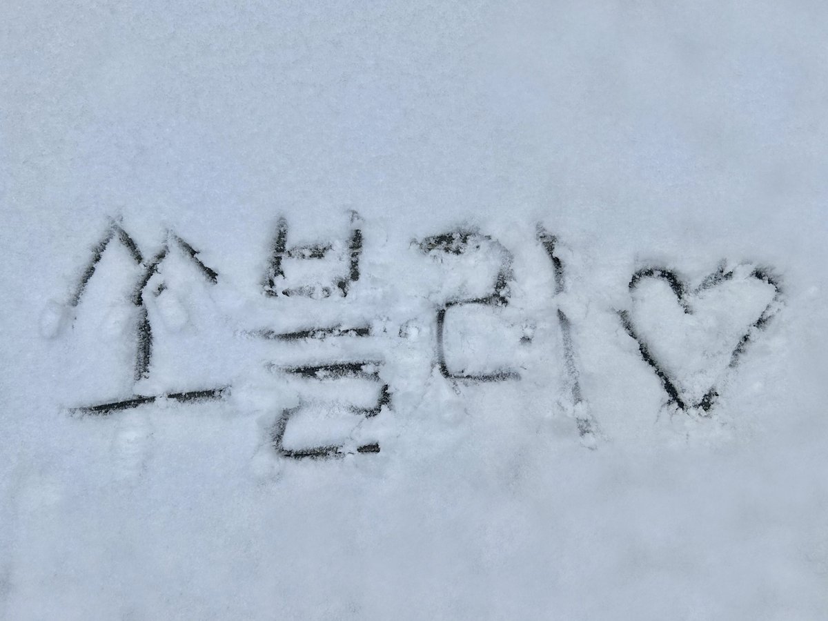 XODIAC_MEMBERS's tweet photo. [#규민🐶] 

보고시퍼🩵

#XODIAC #소디엑 #GYUMIN #규민 
#똑똑똑_귬이등장❄️ https://t.co/Ykegguz12z