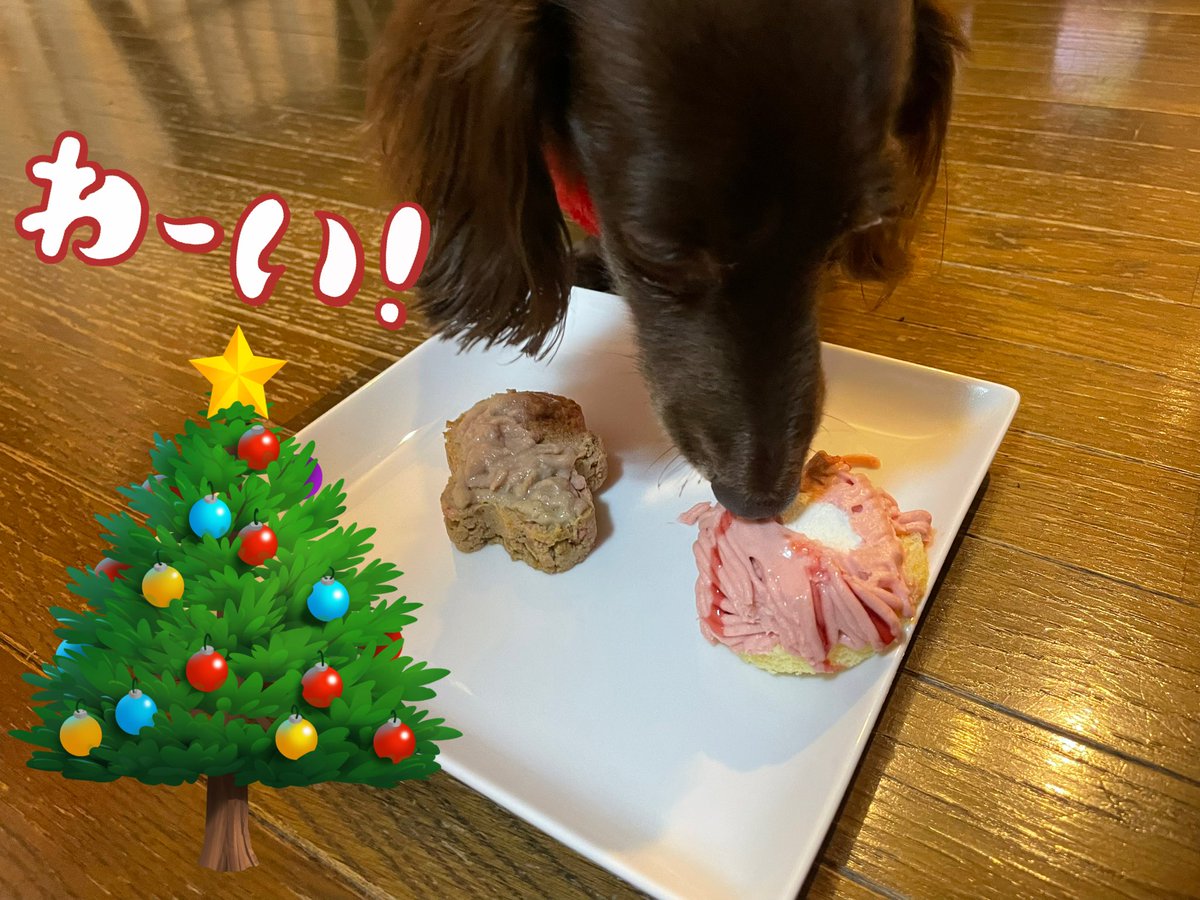 :♡.•♬✧～ΜᎧrRγ сняᎥᎦτмᏜs*～:♡.•

ゆのちゃん迎えて初クリスマス🎄

しょぼしょぼでごめんね🙏
息子が買ってくれた苺ケーキ🍓
クリームに取り憑かれてた😋

食べすぎちゃいました〜！