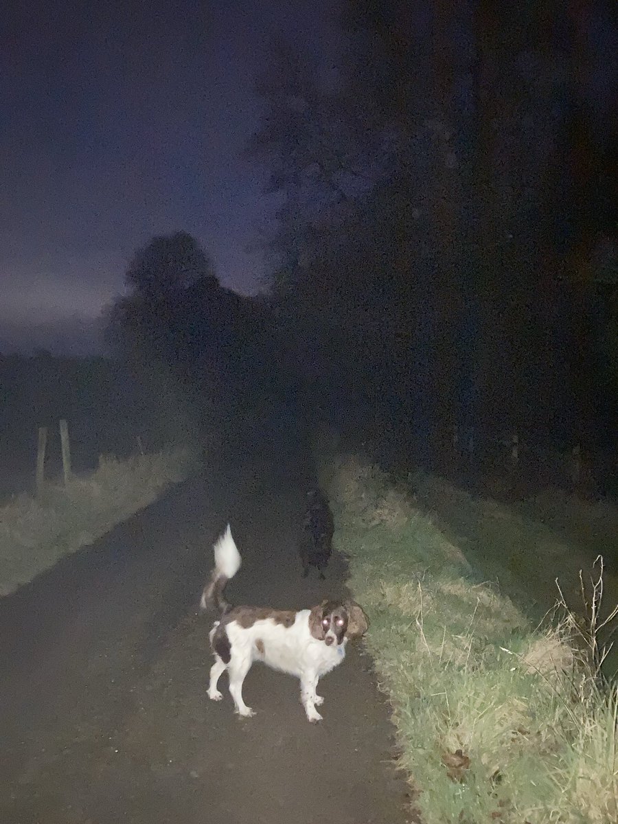 jenny seagrove 🍃💚🍃 tweet media