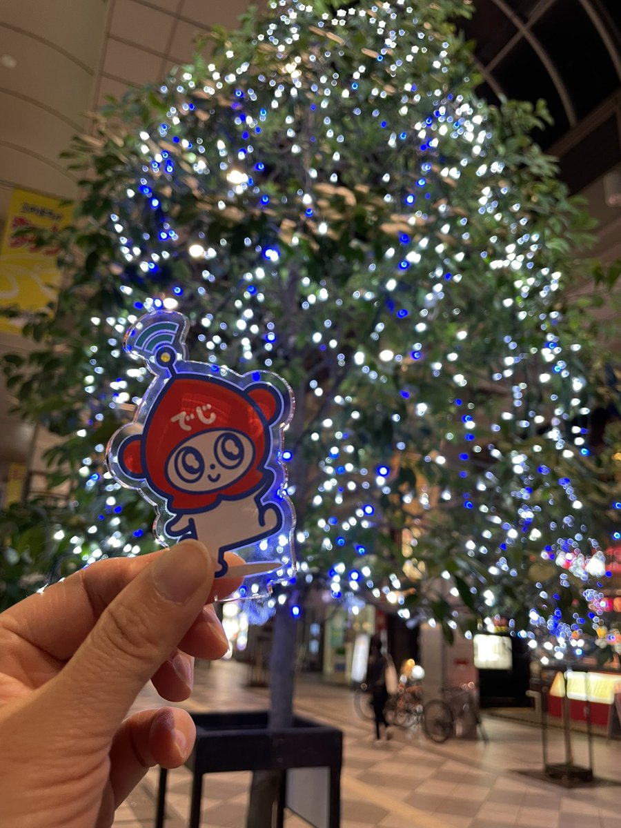 Degibou2022's tweet photo. 今日はクリスマスだね🎄
サンタさん、でじぼうのところにも来てくれるかな🎅🏻

#でじぼう #でじぼうとおでかけ #でじぼう仙台 #クリスマス #クリスマスツリー https://t.co/9PYdXPeVN4