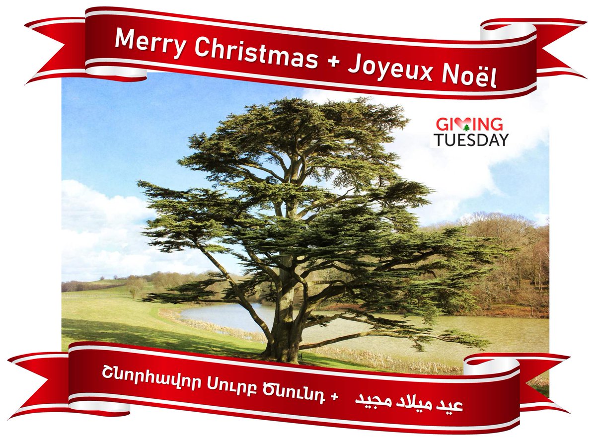 Merry Christmas + Joyeux Noël + عيد ميلاد مجيد + Շնորհավոր Սուրբ Ծնունդ From the land of the Christmas tree! #givingtuesday #givingtuesdaybeirut #givingtuesdaylebanon #lebanesediaspora #lebanon #يوم_العطاء #christmas