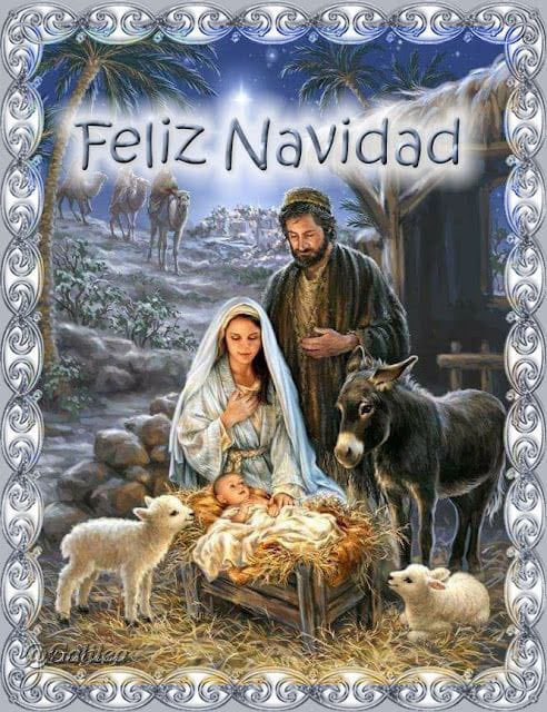 "No tengáis miedo, porque os traigo una buena noticia que será motivo de gran alegría para todos:  Hoy os ha nacido en el pueblo de David un salvador, que es el Mesías, el Señor. Como señal, encontraréis al niño envuelto en pañales y acostado en un pesebre.”LUCAS 2:8-14