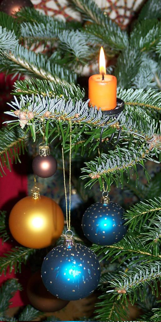 Habt einen ruhigen Tag
#mjlphotos