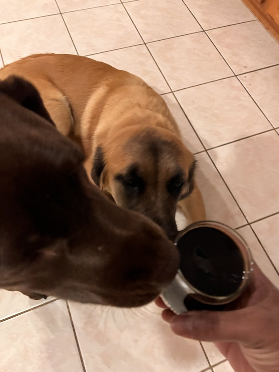 Cardell Kerr tweet media