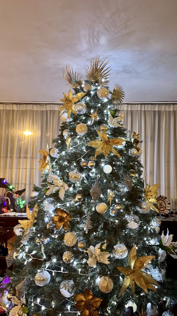 Lizz_Lopez_'s tweet photo. ✨🪅🎄Christmas https://t.co/wH1LlScjGf
