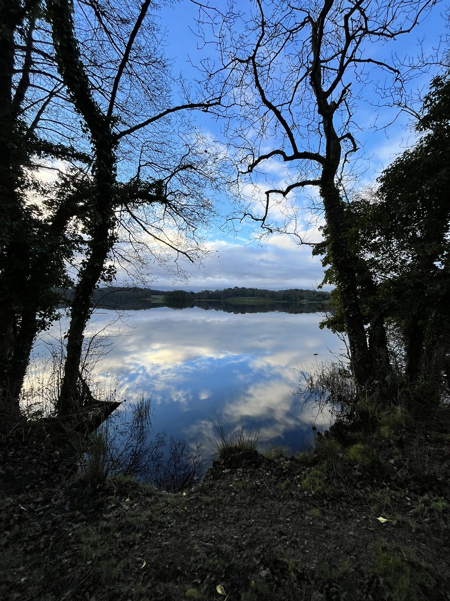 Happy Christmas all 🎄🌟
You can’t make every day bright, but you can find bright moments in every day.
💫