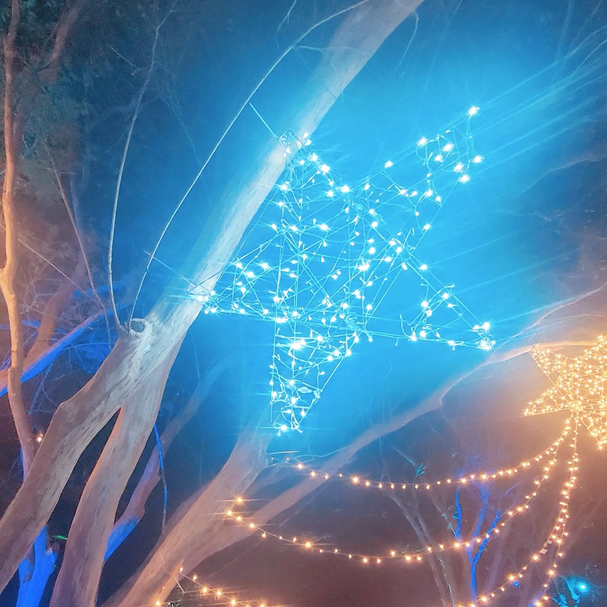 DiamondAffinit2's tweet photo. 🎉✨️
Happy festive season 😘 https://t.co/7mlrePKzzc