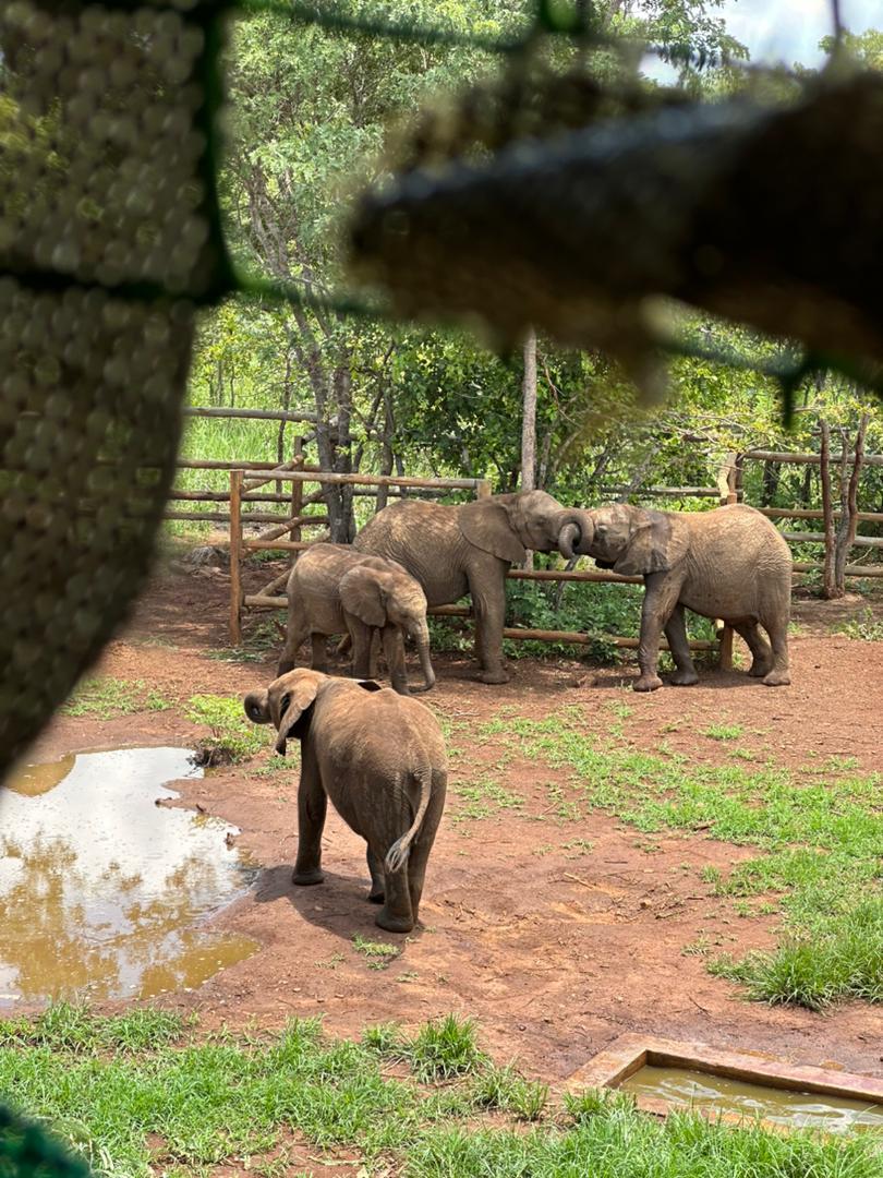 marlon (@marlonmtawali) on Twitter photo 