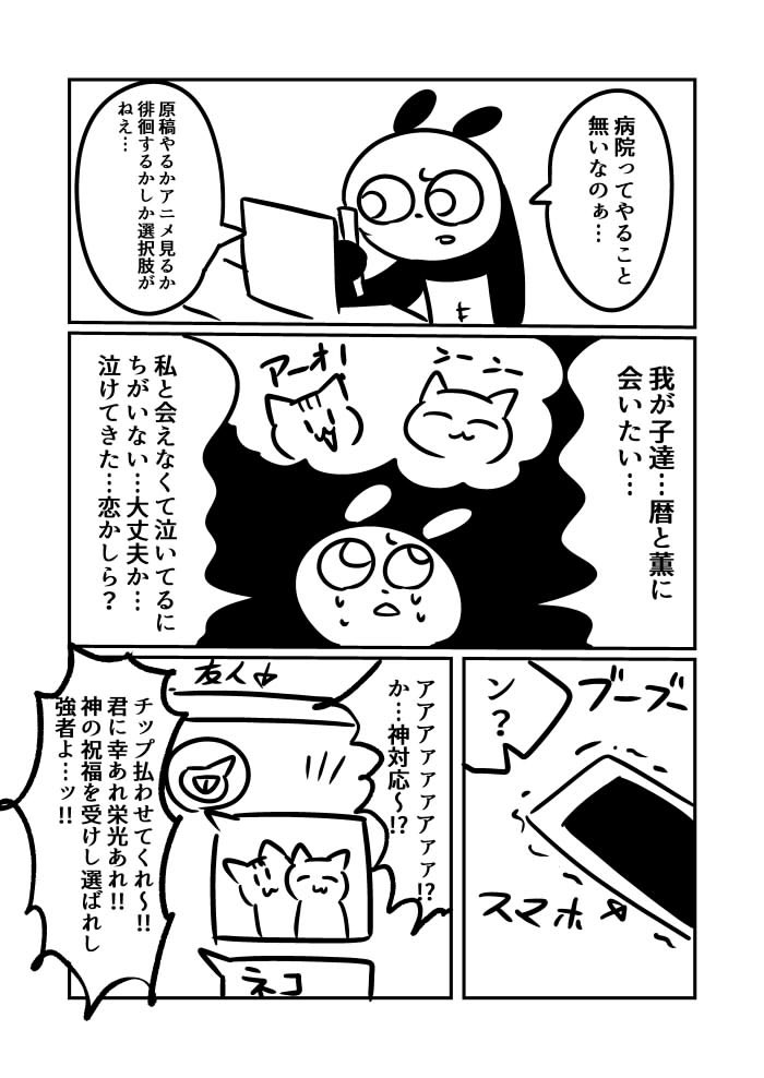 続き 猫に会いたすぎて友人氏の日刊猫を楽しみにしていた 