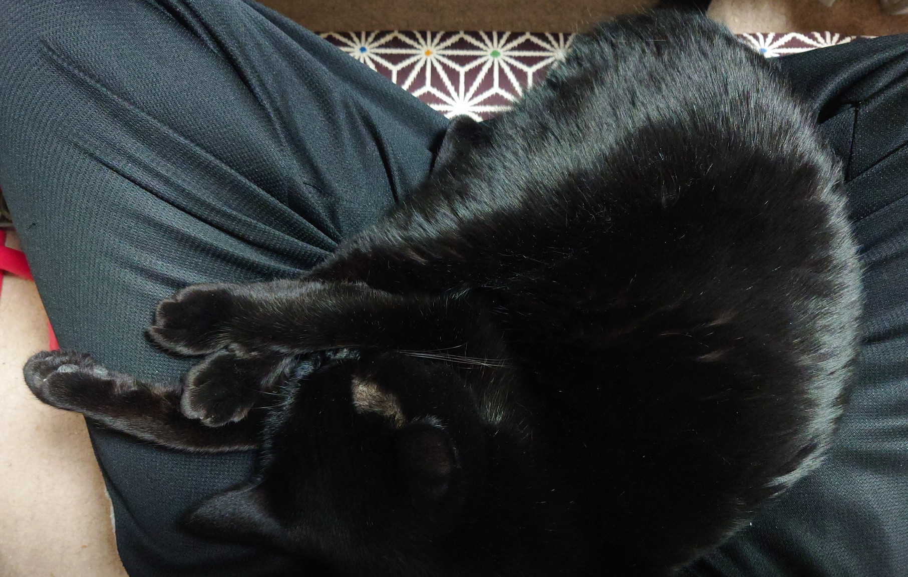 クロねこ BYjM4b1T_200x200.jpg