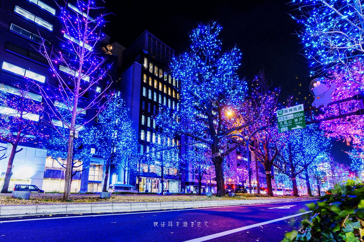 Y0mimi's tweet photo. 御堂筋
クリスマスイルミネーション https://t.co/EhNtW2Ld6L