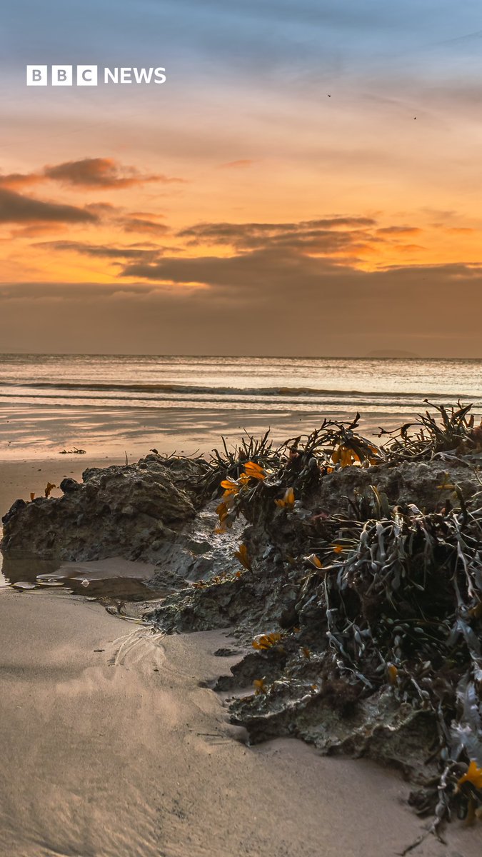 Merry Christmas!🎄🎅
Well this is a sight for sore eyes..
Check out this shot of Jackson’s Bay in Barry Island taken at sunrise
Gorgeous!😍
📸Gildas Griffiths 
For more news across Wales: bbc.in/3RDS3AB