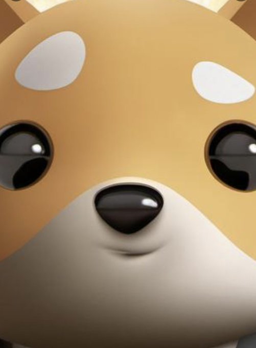 AjaySharma01004's tweet photo. look at these eyes
#Babydoge 🐶 https://t.co/EJDI6Xat9B