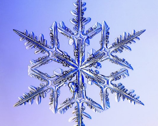 RoyalMicroSoc's tweet photo. Wishing everyone a very Happy Christmas and New Year, from the Royal Microscopical Society. 🎄🎄🎄 https://t.co/K6HpCtsTCK
