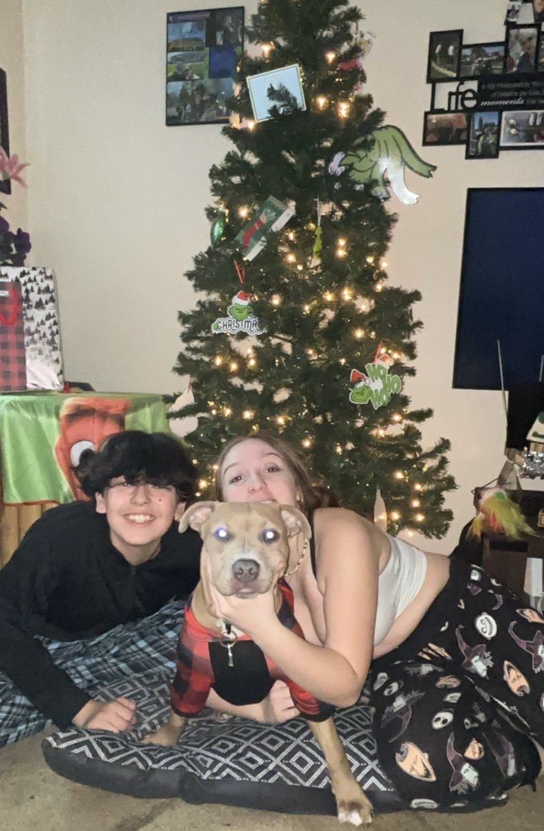 GreenEyeChick_'s tweet photo. Merry  Kissmiss From My lil family to yours🫶🏼🫶🏼 #AceThePittAmericanBully #NewestMemberOfTheBeaumontFamily #BlessedAndGrateful  #PrinceSergio #PrincessSavannah #Mom #Dad #Holiday #Family https://t.co/aQckjGfwXM