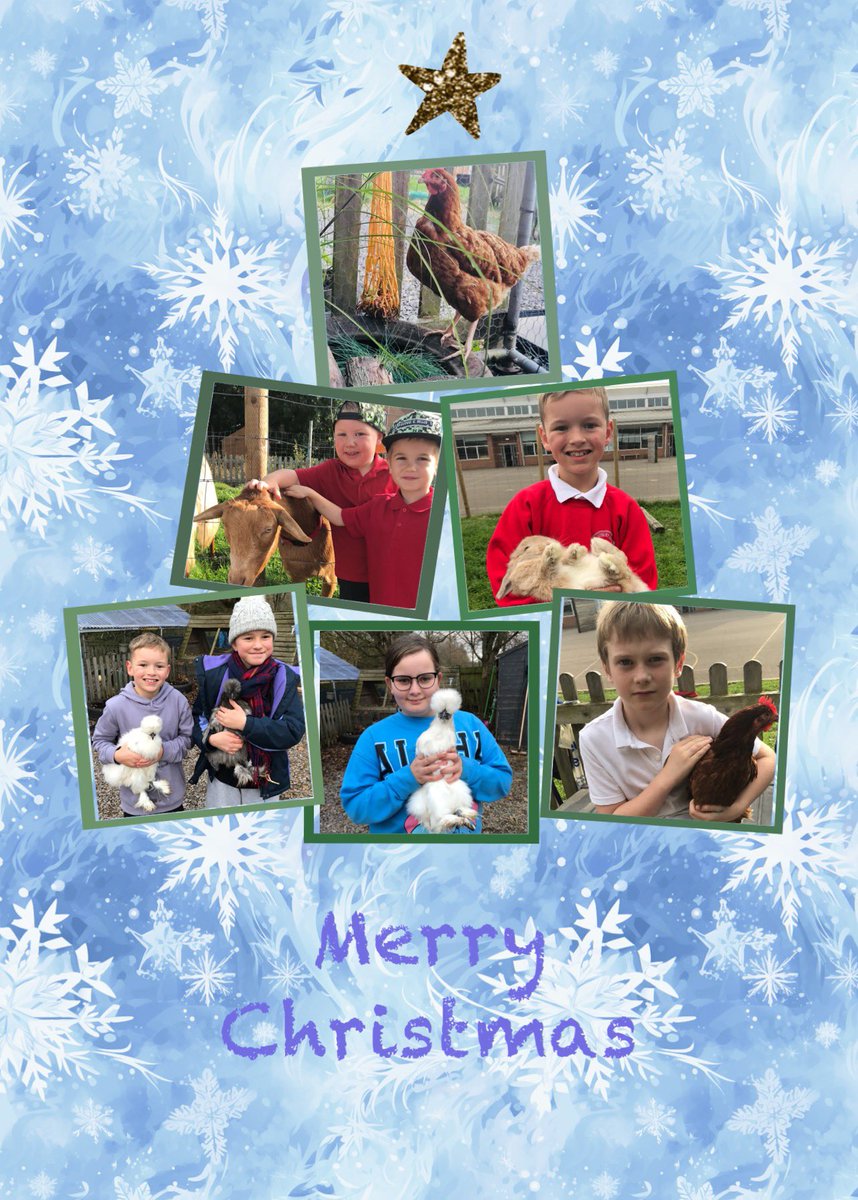 Happy Christmas from all of us at #wlpswestbury 
#wearewlpswestbury
#inspireaspireachieve