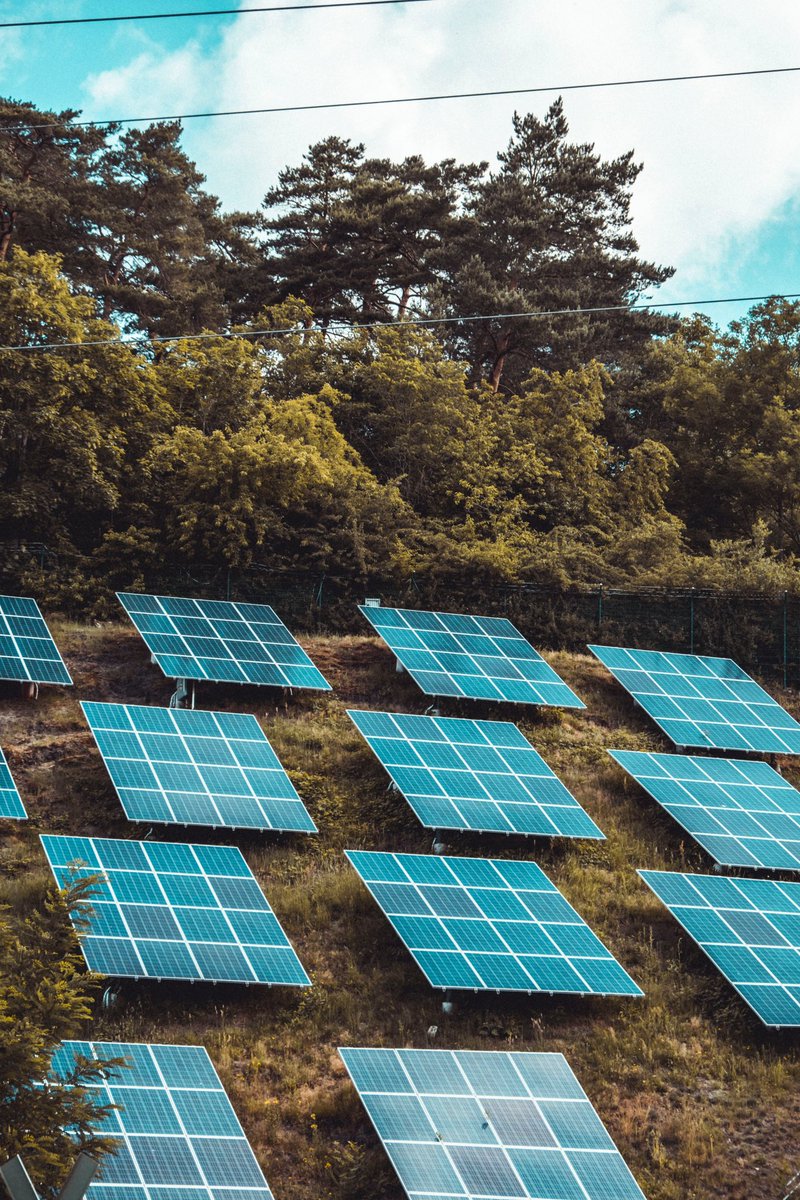 WernerRHoffmann's tweet photo. Zwei Alternativen zum Subventionsabbau für #Landwirte 
https://t.co/xatFXKnAxu

 #Lobbyverbände, #DieGrünen, #Erneuerbare #Energie, #Essen, #Haus und #Hof, #Klima, #Solarenergie, #Strom, #Umwelt, #Umweltschutz, #Fleisch, #Kryokonservierung, #Stammzellen, #Subventionsabbau https://t.co/WDol5PhW0z