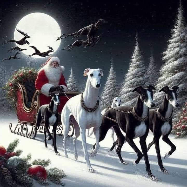 Happy Christmas to all my Whippy frens 💖