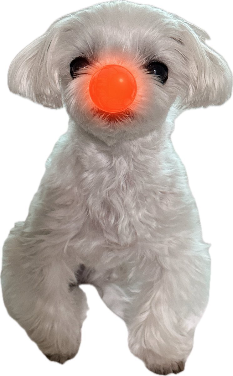 메리크리스마스 아가새💚 #Merry_Christmas 

.                                  🔴🔴🔴
                                🔴🔴      ⚪️
                             🔴🔴🔴      ⭐ 
                           🔴🔴🔴🔴
                        🔴🔴🔴🔴🔴
                     ⚪️⚪️⚪️⚪️⚪️⚪️