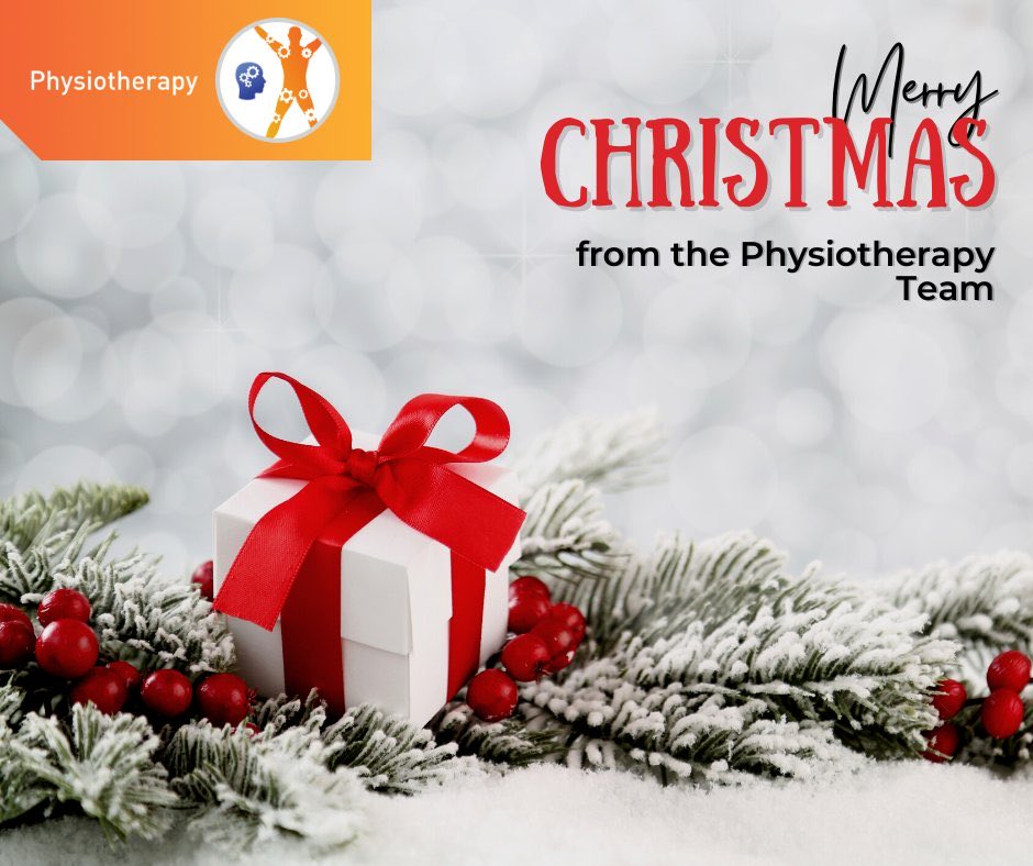Merry Christmas from the MSK Physiotherapy team! <a href="/Provide_CIC/">Provide</a>