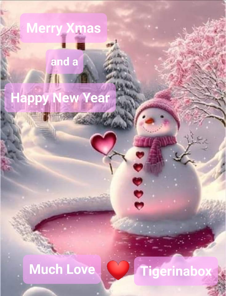 Tigerinabox_'s tweet photo. Happy Xmas and a Happy New Year everyone ♡♡♡ #Christmas #Christmas2023 #timeforfood #CraziestPlaceOnTwitch #twitch #TwitchStreamers #PokemonUNITE #Pokemon https://t.co/PruXawJdsJ