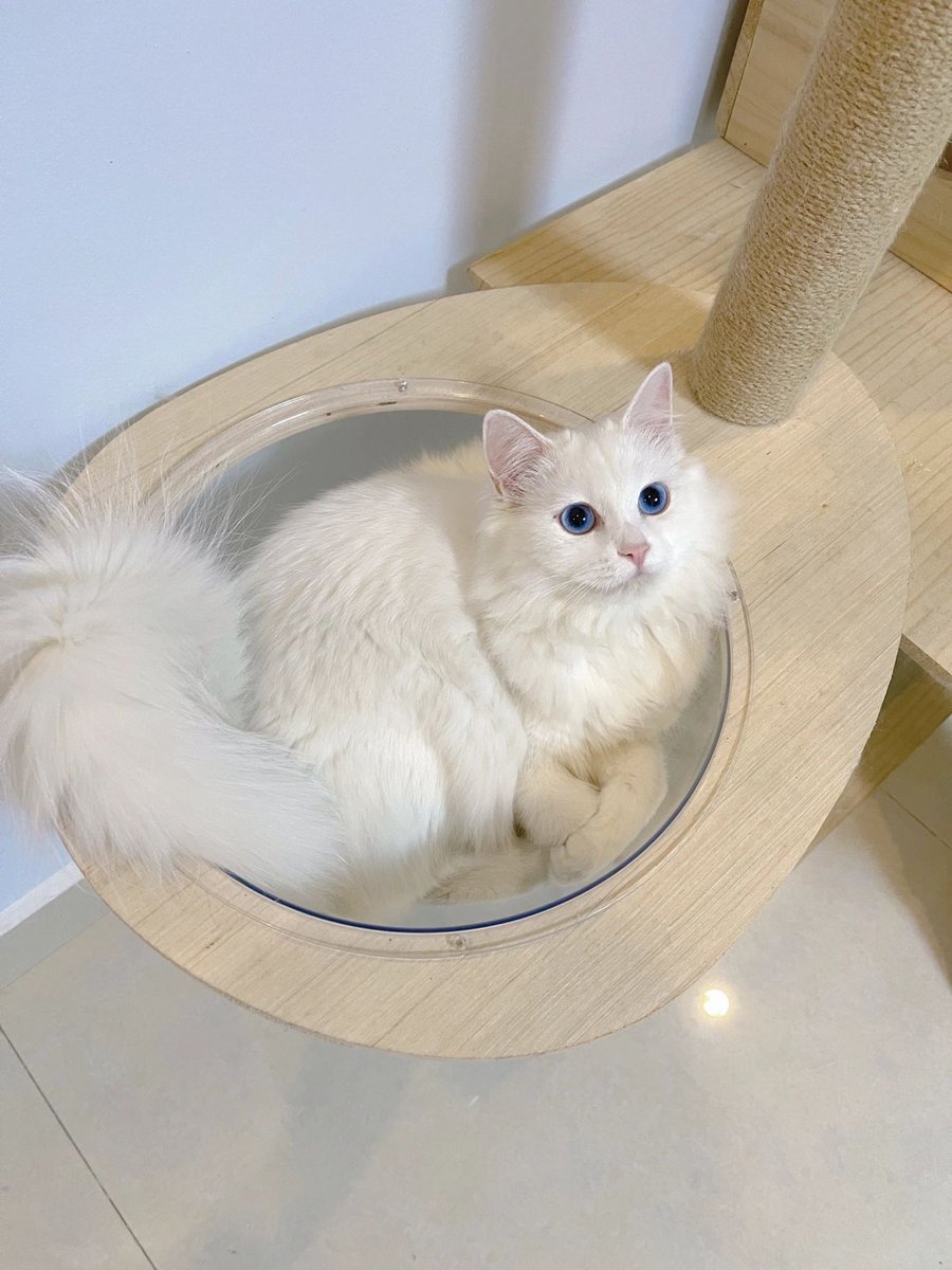 かわいいジャスミンちゃん、今日はとってもお利口さん