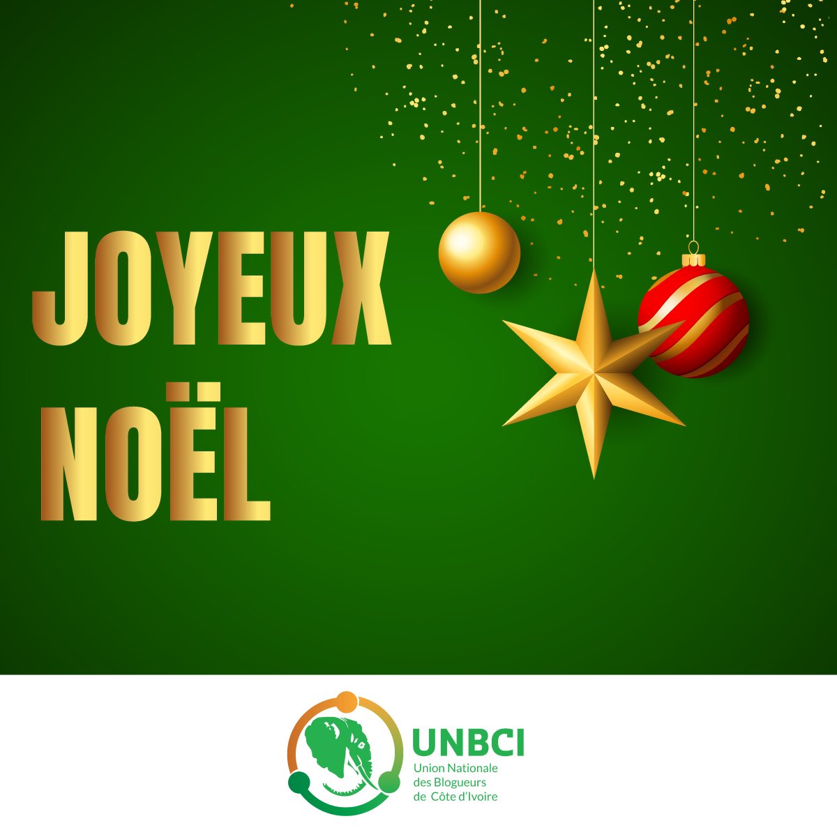 Nous souhaitons une joyeuse fête de Noël 🎄 
#GoUNBCI 
#noel2023