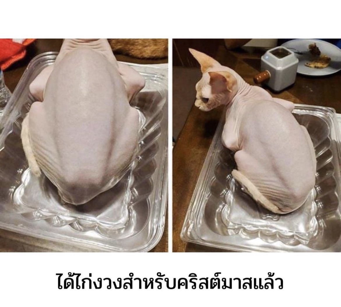 เหมือนมาก5555555555555555555