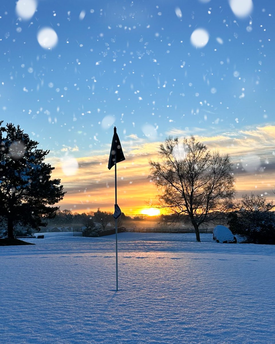 Merry Christmas from all of us at Sweetwoods 🎄🥳
•
#christmas #2023 #sweetwoods